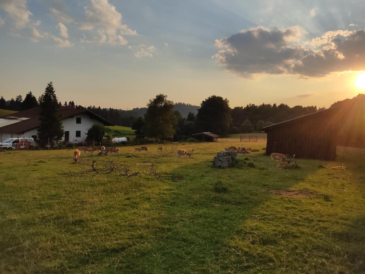 Pension Bachlhof Fursteneck Exteriör bild