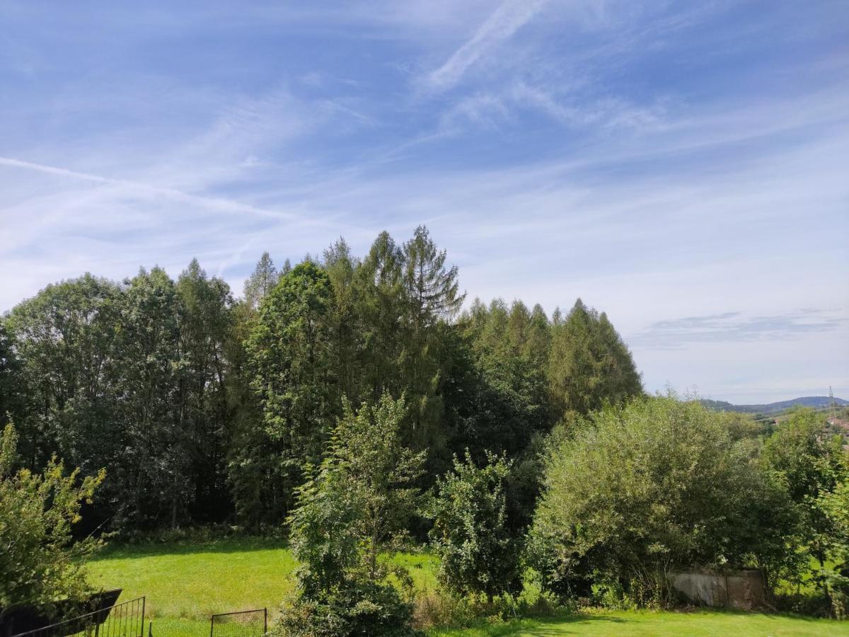 Pension Bachlhof Fursteneck Exteriör bild